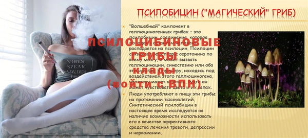 спайс Баксан