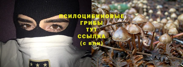 спайс Баксан