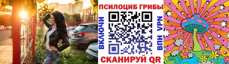 где продают наркотики Малгобек Галлюциногенные грибы Cubensis